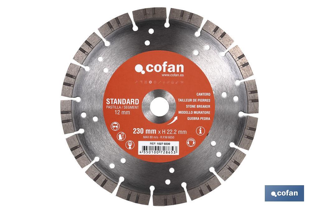 DISCO DIAMANTE CANTERO STANDARD H-10mm, 115mm