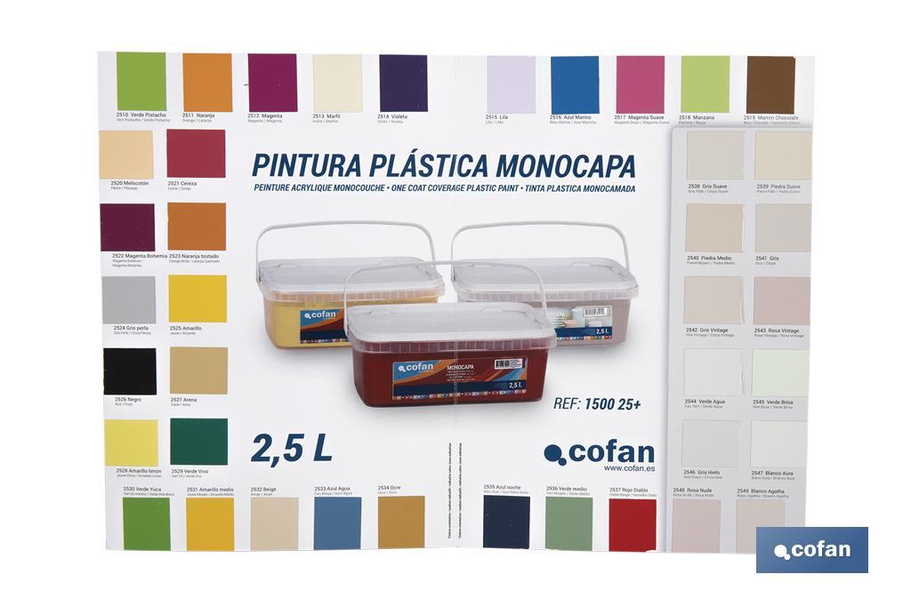 CARTA DE COLORES PINTURA PLASTICA MONOCAPA (PACK: 1 UDS)
