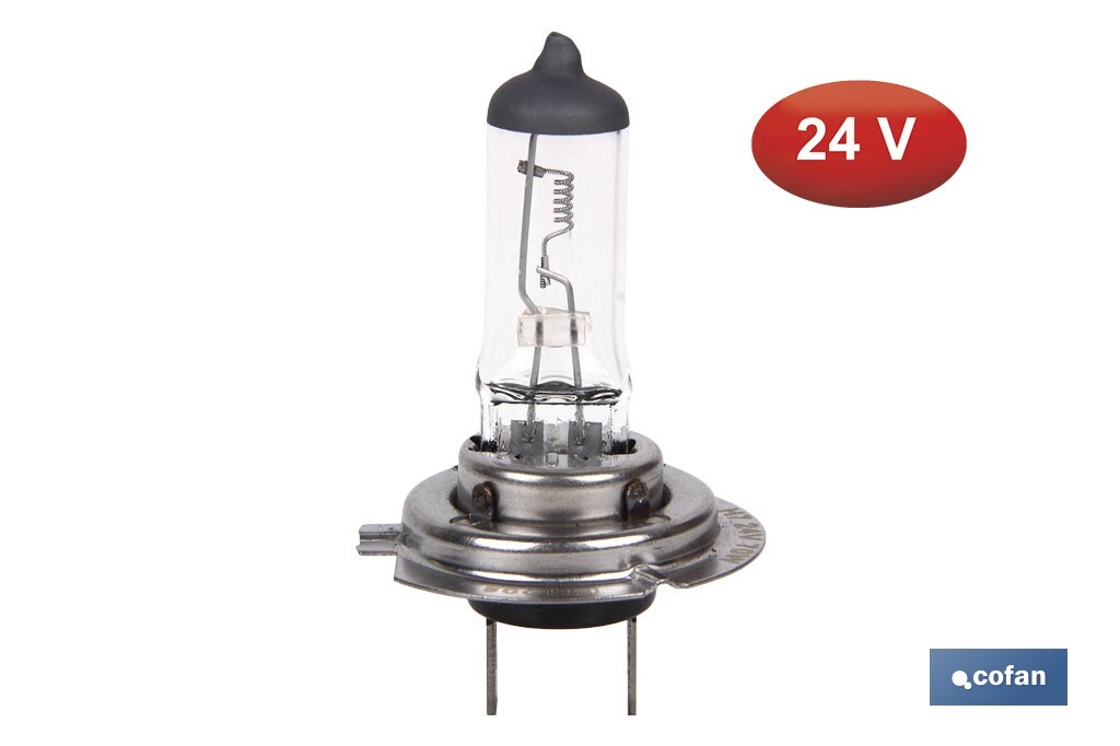 Lámpara halógena H7 (Px26d) 24 V 70 W | Pack: 10 unidades